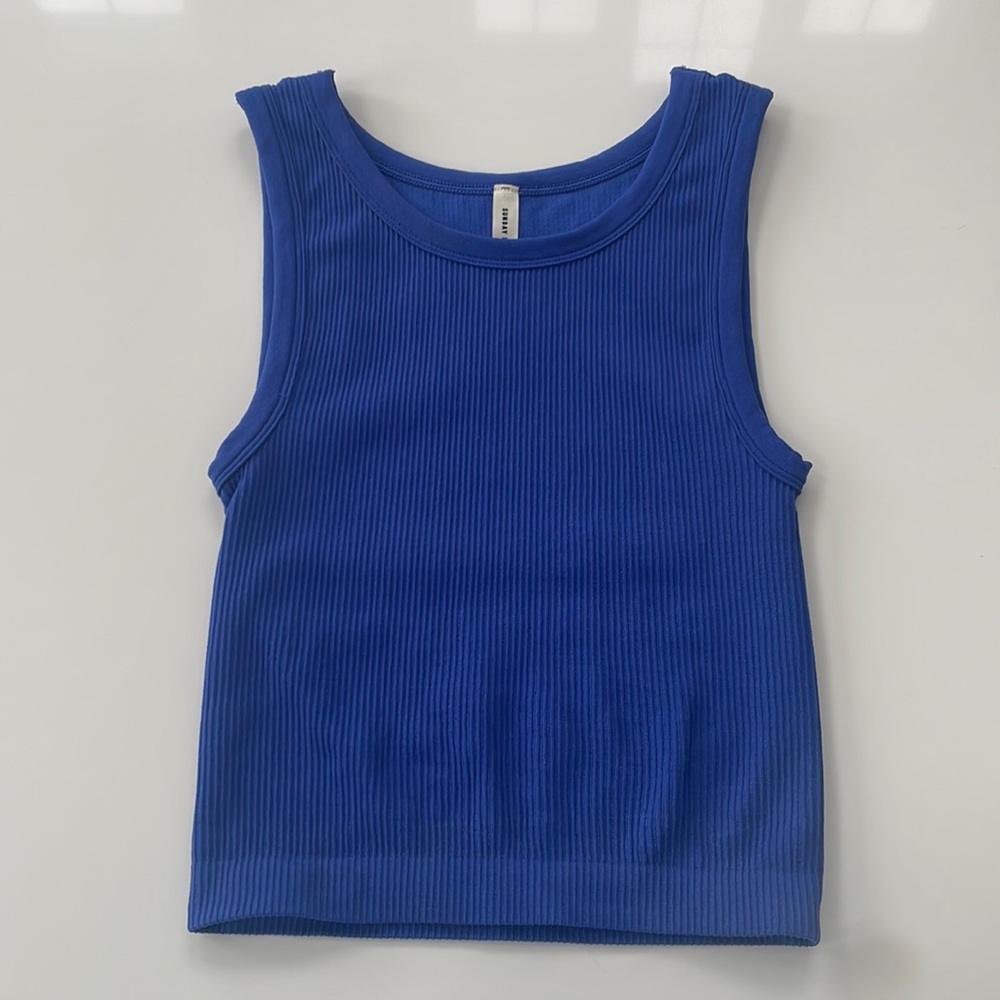 Bright Blue Aritzia Sunday Best Tank